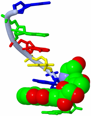 Image Asymmetric Unit