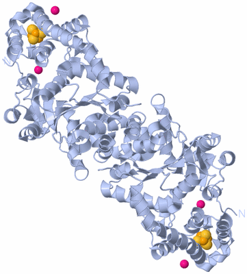 Image Biological Unit 1