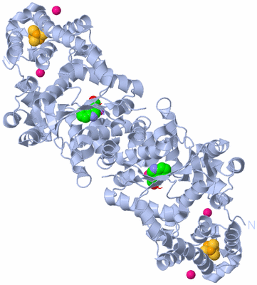 Image Biological Unit 1