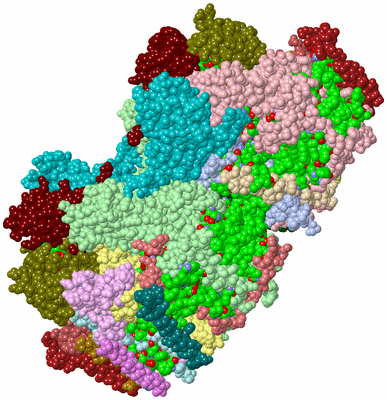 Image Asym./Biol. Unit - sites