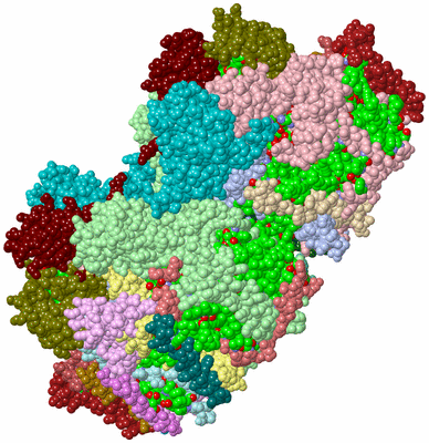 Image Asym./Biol. Unit - sites