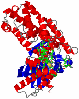 Image Asym./Biol. Unit - sites