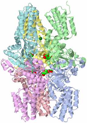 Image Asym./Biol. Unit