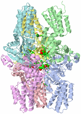 Image Asym./Biol. Unit - sites