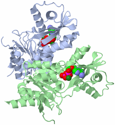 Image Asym./Biol. Unit