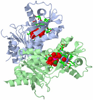 Image Asym./Biol. Unit - sites