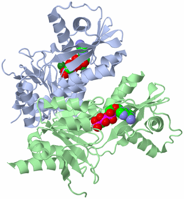 Image Asym./Biol. Unit