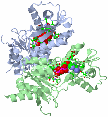 Image Asym./Biol. Unit - sites