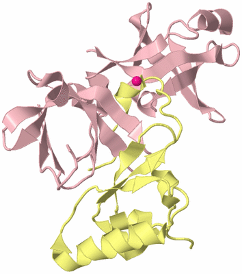 Image Biological Unit 2