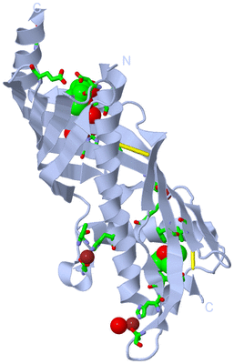 Image Biol. Unit 1 - sites