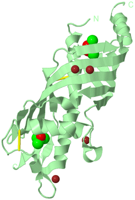 Image Biological Unit 2