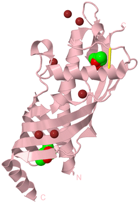 Image Biological Unit 3