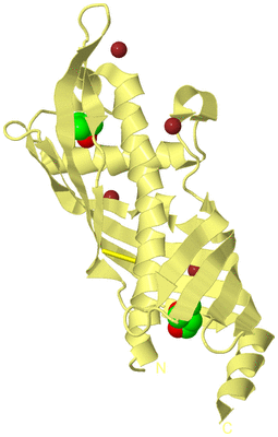 Image Biological Unit 4