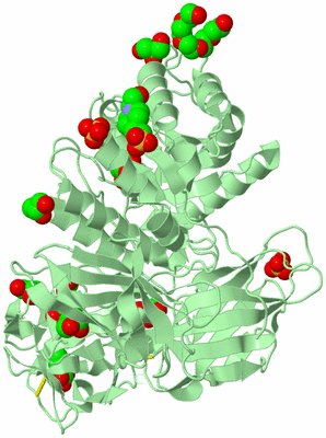 Image Biological Unit 2