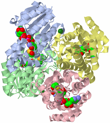 Image Biological Unit 1