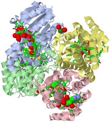 Image Biol. Unit 1 - sites