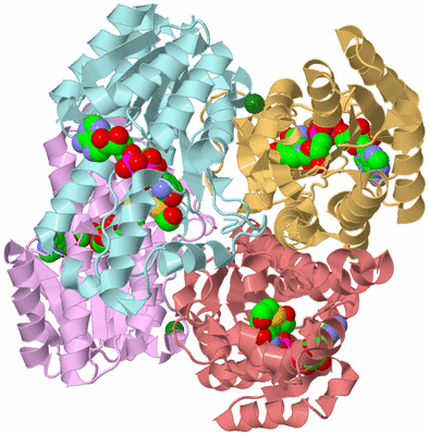 Image Biological Unit 2