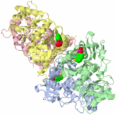 Image Biological Unit 1