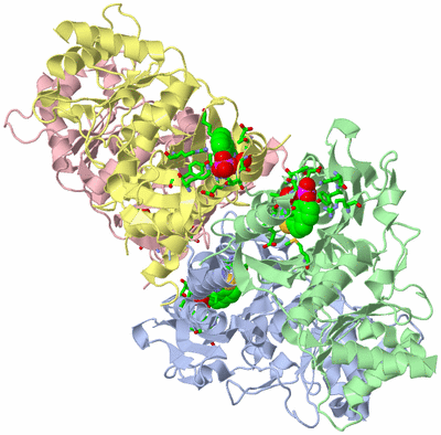 Image Biol. Unit 1 - sites