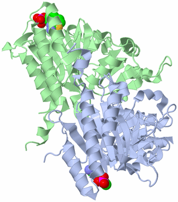 Image Biological Unit 2