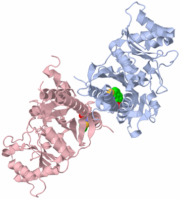 Image Biological Unit 3