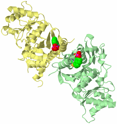 Image Biological Unit 4