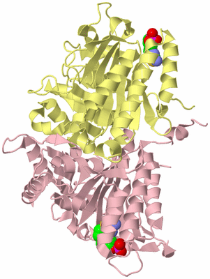 Image Biological Unit 5