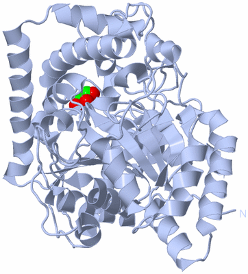 Image Biological Unit 1