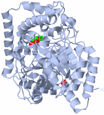 Image Biol. Unit 1 - sites