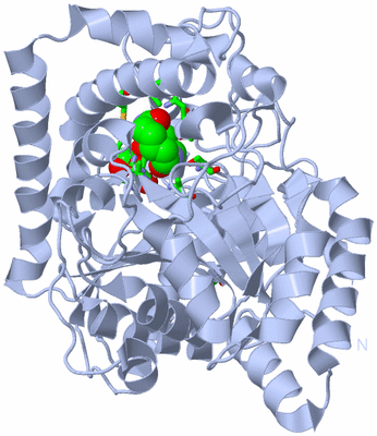 Image Biol. Unit 1 - sites