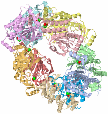 Image Asym./Biol. Unit