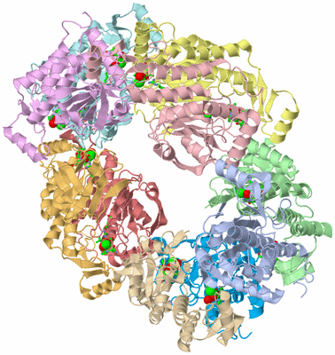 Image Asym./Biol. Unit - sites