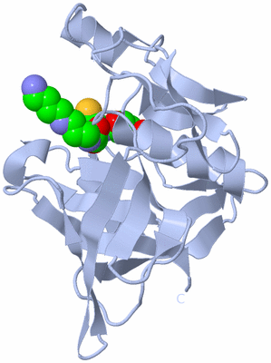 Image Biological Unit 1