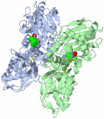 Image Asym./Biol. Unit