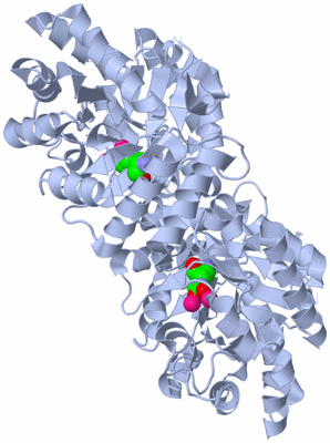 Image Biological Unit 1