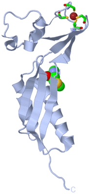 Image Biol. Unit 1 - sites