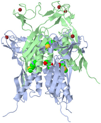 Image Biological Unit 3