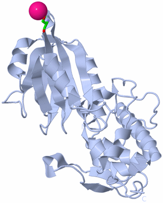 Image Biol. Unit 1 - sites