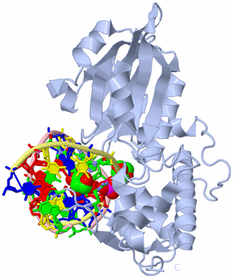 Image Biol. Unit 1 - sites