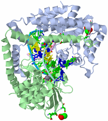 Image Biol. Unit 1 - sites