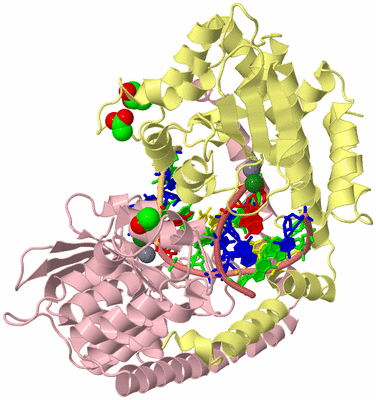 Image Biological Unit 2