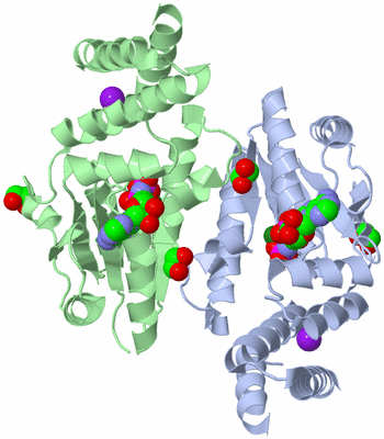 Image Asym./Biol. Unit