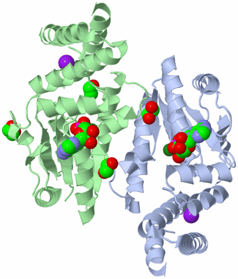 Image Asym./Biol. Unit