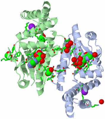 Image Asym./Biol. Unit - sites