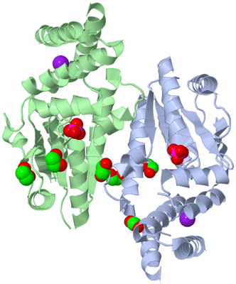 Image Asym./Biol. Unit