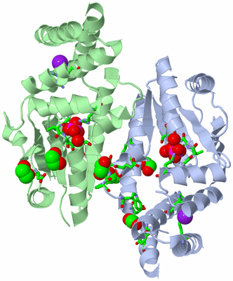 Image Asym./Biol. Unit - sites