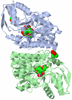 Image Asym./Biol. Unit