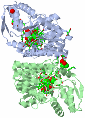 Image Asym./Biol. Unit - sites