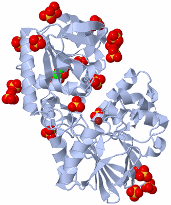 Image Biological Unit 1