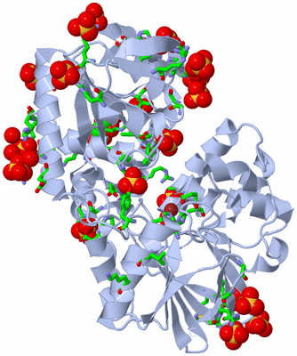 Image Biol. Unit 1 - sites